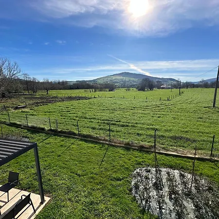 La Casa Del Zapatero *