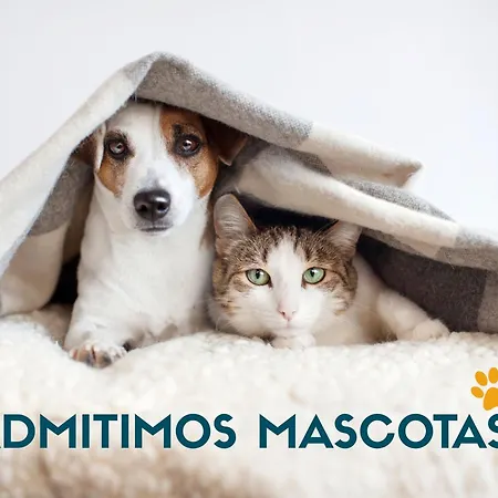 La Casa Del Zapatero