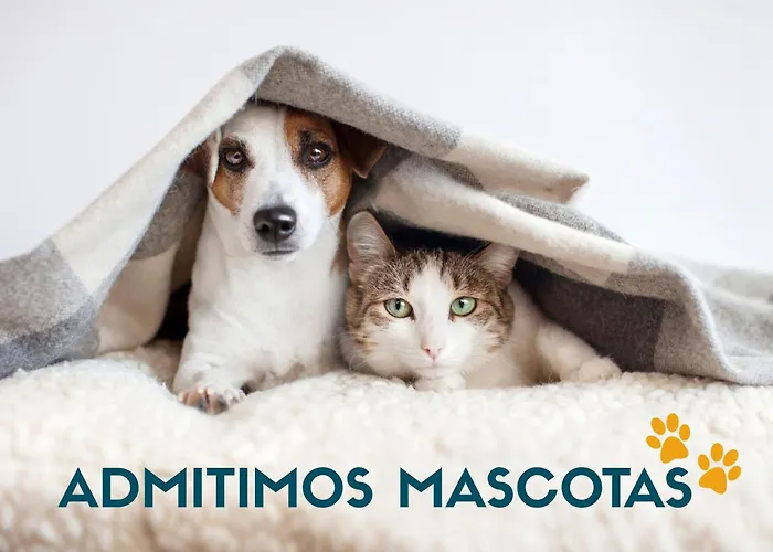 La Casa Del Zapatero